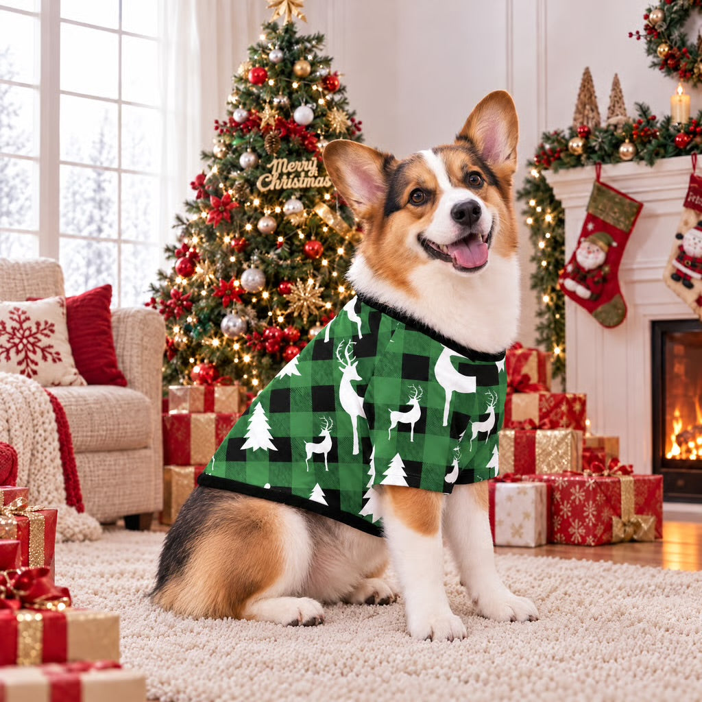 Jolly Christmas Pyjama Set